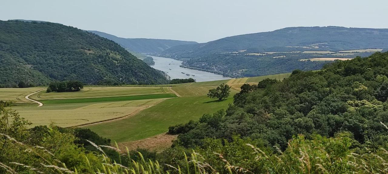 Kleine Auszeit - Ferienwohnung Heideberg - "Rhein" In Den Urlaub Bacharach Buitenkant foto